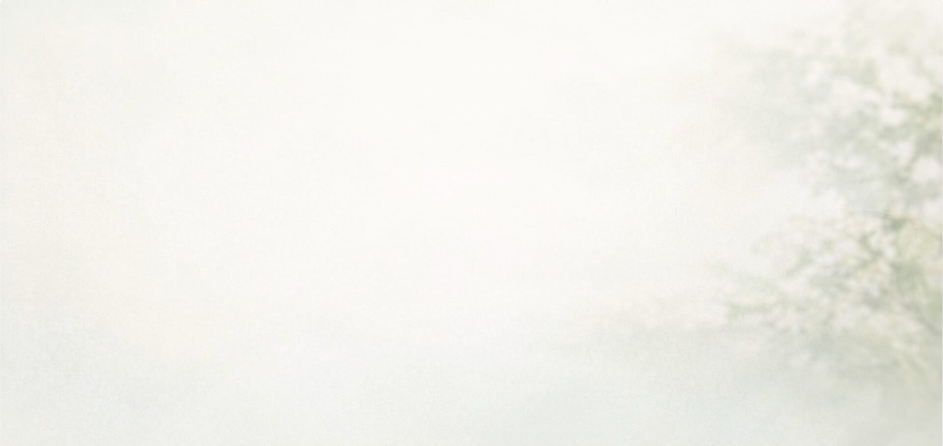 許可・登録情報背景